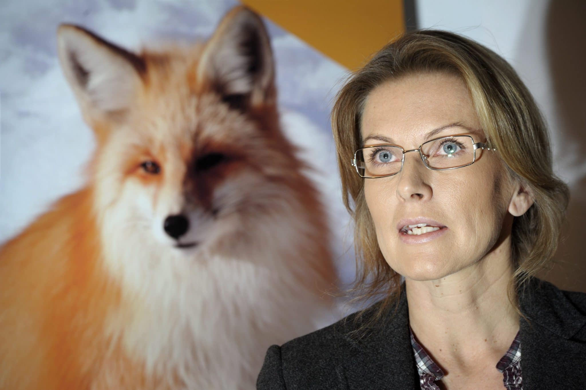 IL: Tanja Karpela saanut tilapäistä työttömyysetuutta vuodesta 2011 - Vimarsana News