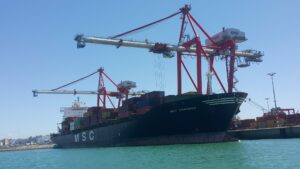MSC Shannon