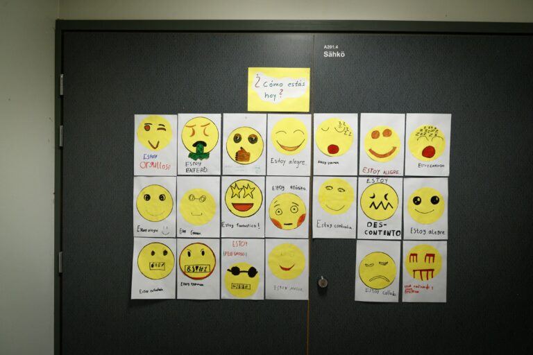 Tunnetaitojen opettelua koulussa