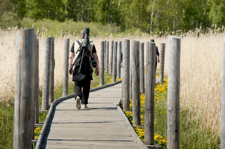 Alkuviikon sää on aurinkoista ja lämmintä