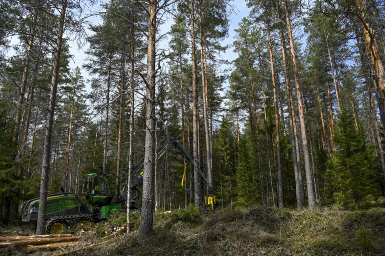 Harvennushakkuutyömaa Janakkalassa