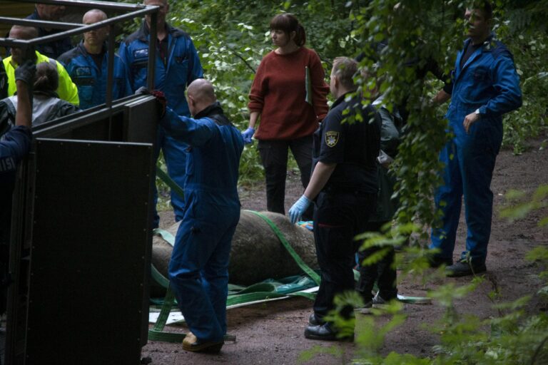 Haminan mursu Kotkassa ..