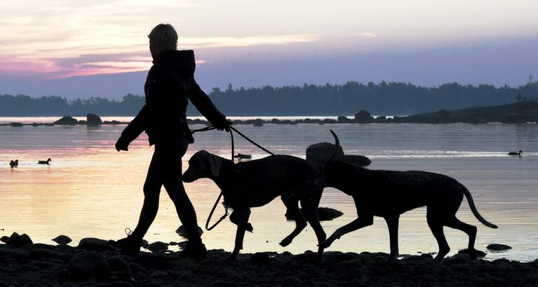 Auringonnousu syysaamuna