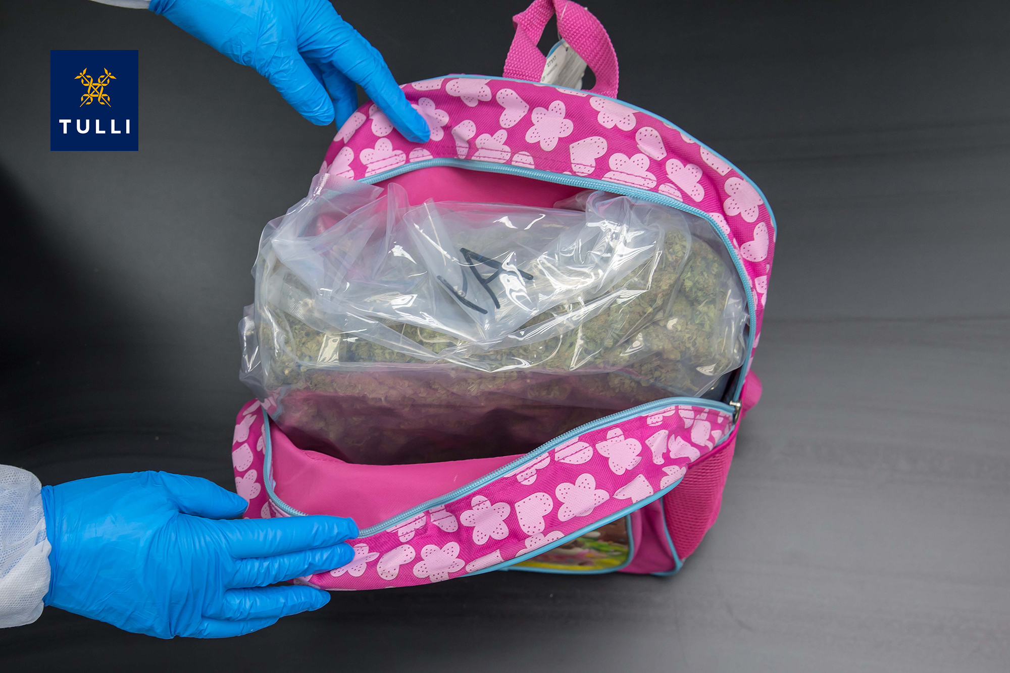 Tulli Tutkii Laajamittaista Huumeiden Salakuljetusta Verkkouutiset Tulli Tutkii Laajamittaista Huumeiden Salakuljetusta Verkkouutiset