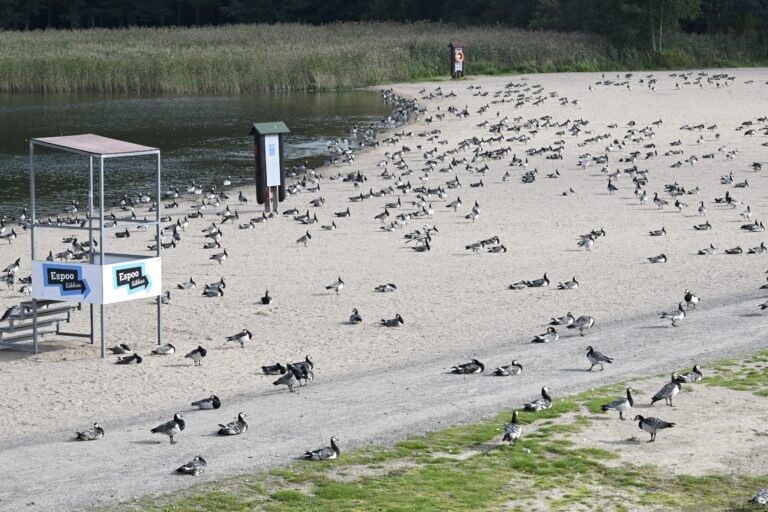 Lämmin syyskuinen maanantaina