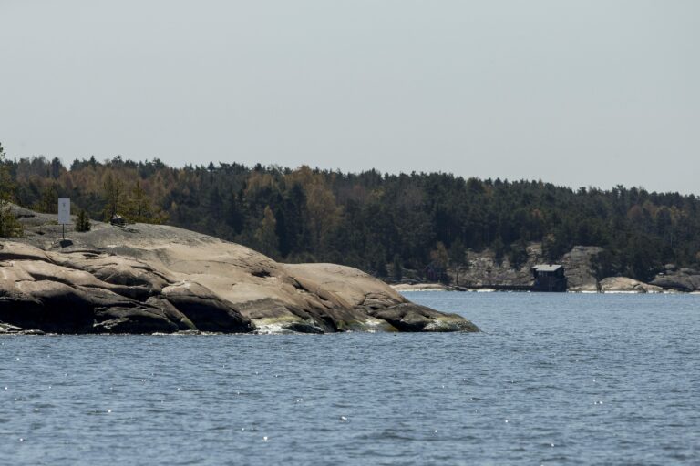 Turun yliopiston Saaristomeren tutkimuslaitos juhlistaa 50-vuotista työtään
