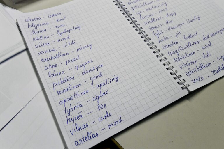 Suomen kielen opetusta pakolaisnaisille