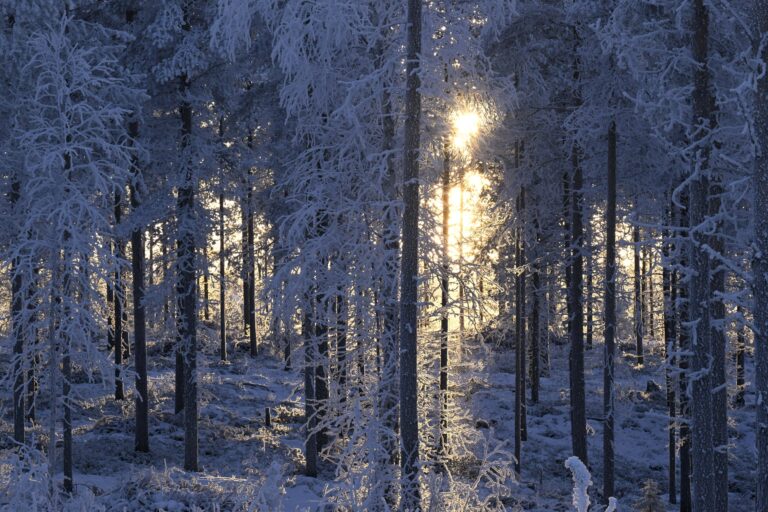 International border crossing at Salla