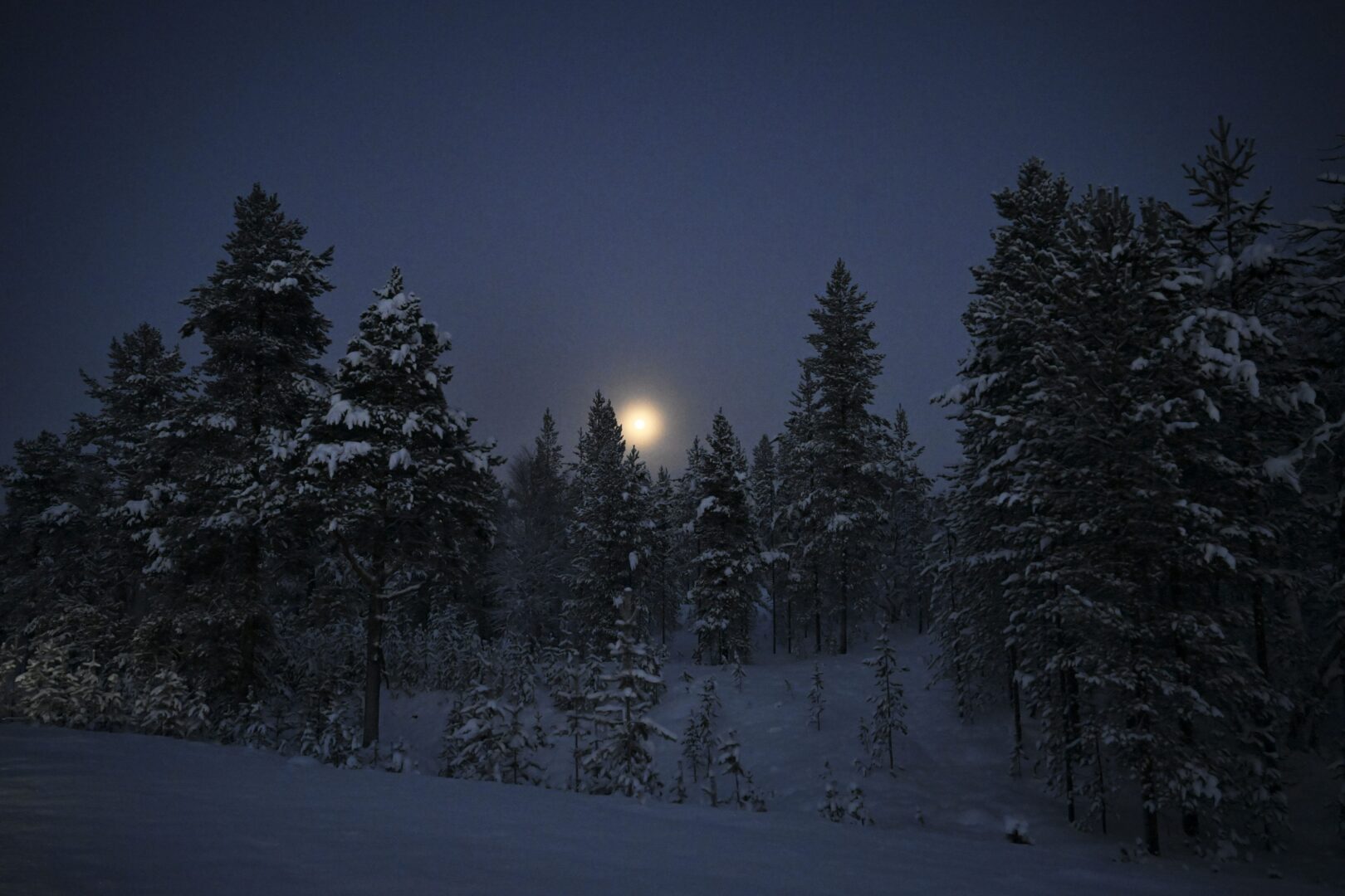 Marraskuu Oli Poikkeuksellisen Luminen Verkkouutiset