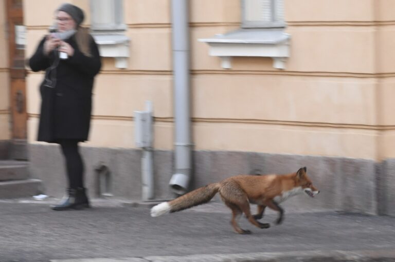 Keskustan johto tapaa pääministeri Antti Rinteen Valtioneuvoston linnassa