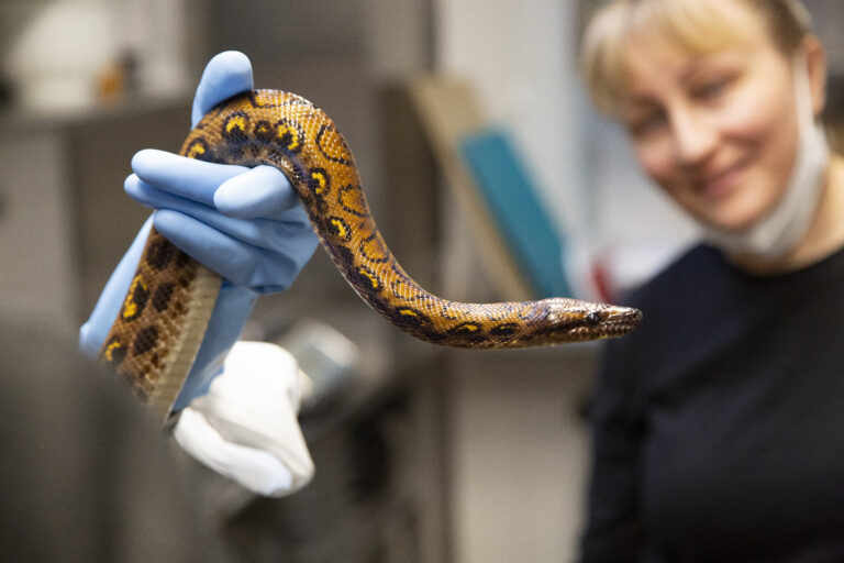 a9464483-95b4-4414-a557-3e27f8d08fbb