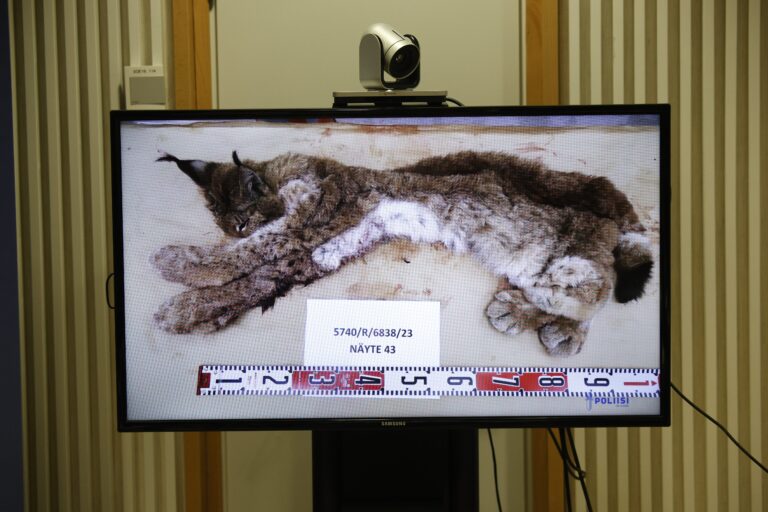 Itä-Suomen poliisilaitoksen info Case Savukukko -metsästysrikoskokonaisuudesta