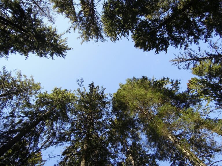 Meikon luonnonsuojelualue Kirkkonummella