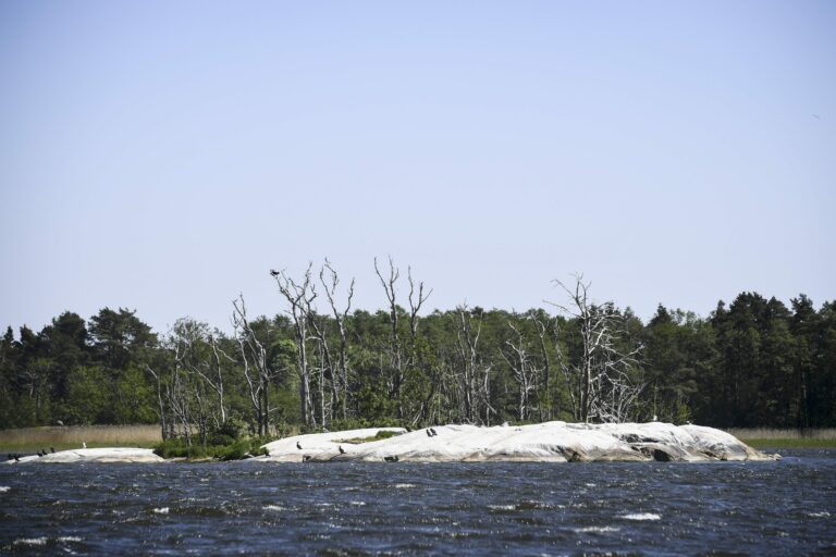 Reportaasimatka Tammisaaren saariston kansallispuistossa