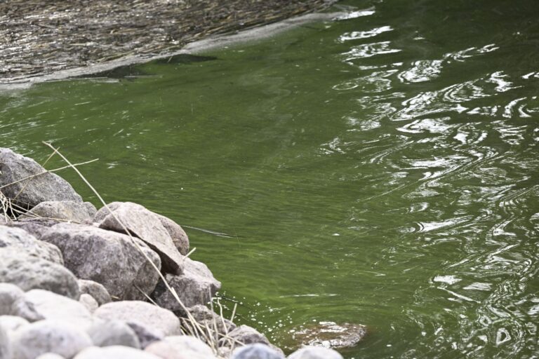 Asuntomessujen ennakkoavajaiset Loviisassa