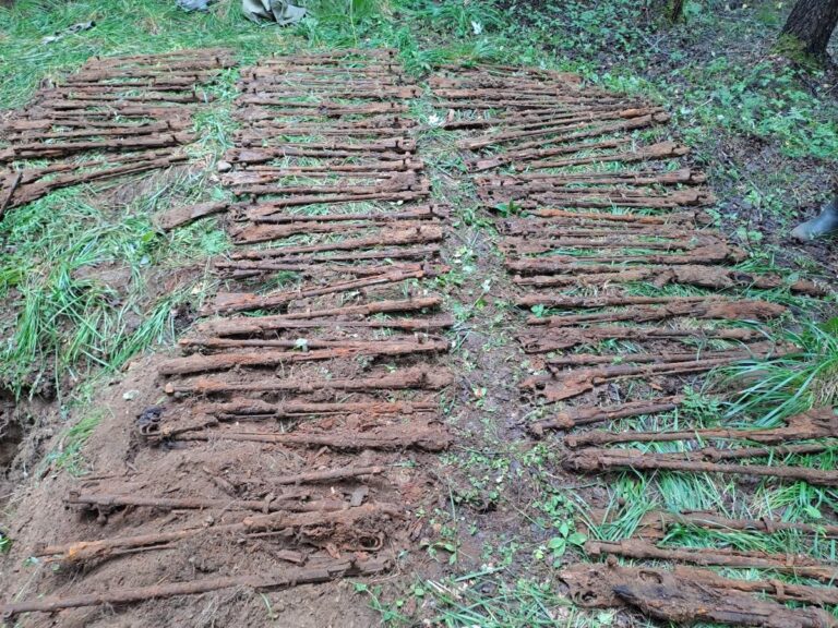 06b12dea-d1b2-26db-712b-756f1c6b5161