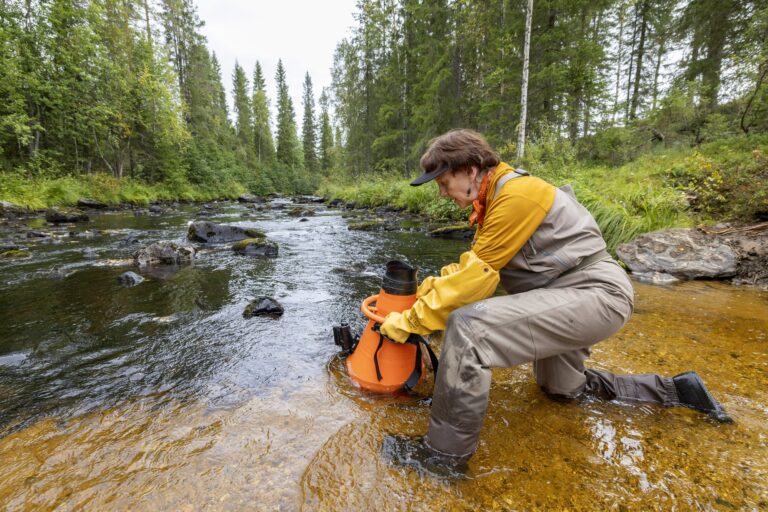 Mitä uutta tulee ilmi Suomussalmella yliajettujen raakkujen tilanteesta?