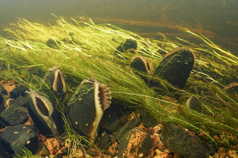 3fde527e-39ae-45d7-80de-82c64782e9dd