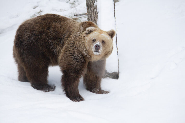 32c5c306-fb9a-4dcc-b8f2-96a5feb855c8