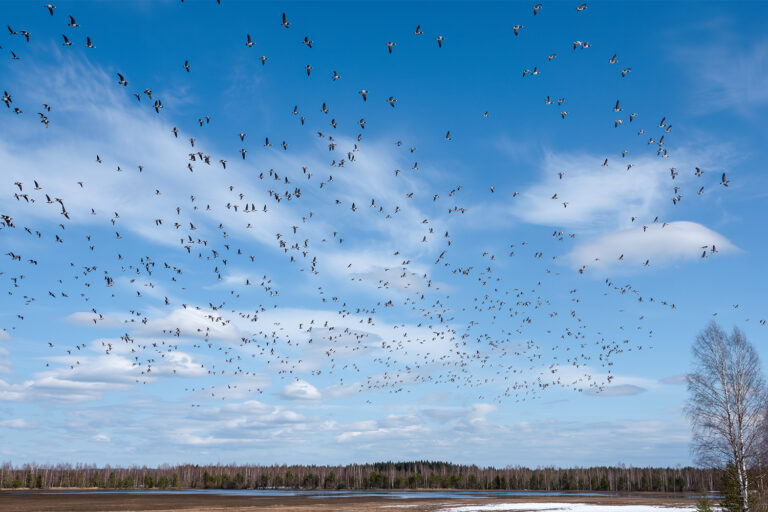 507710fd-afaa-4a0d-a15e-0cebf41e277c