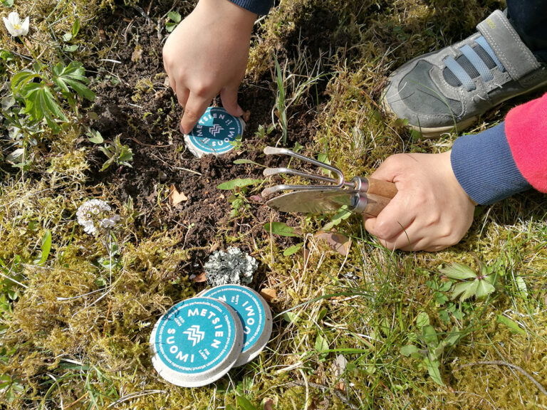 simenekiekon_istutus_kuva2_pieni