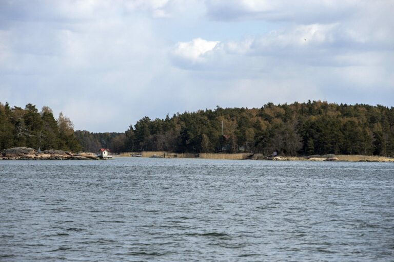 Turun yliopiston Saaristomeren tutkimuslaitos juhlistaa 50-vuotista työtään