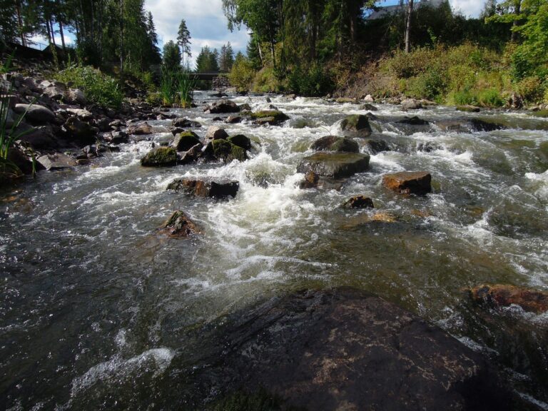 Hiitolanjoen kosket vapautuvat