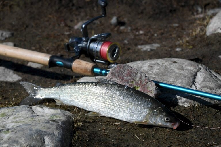 Pääsiäinen - sää