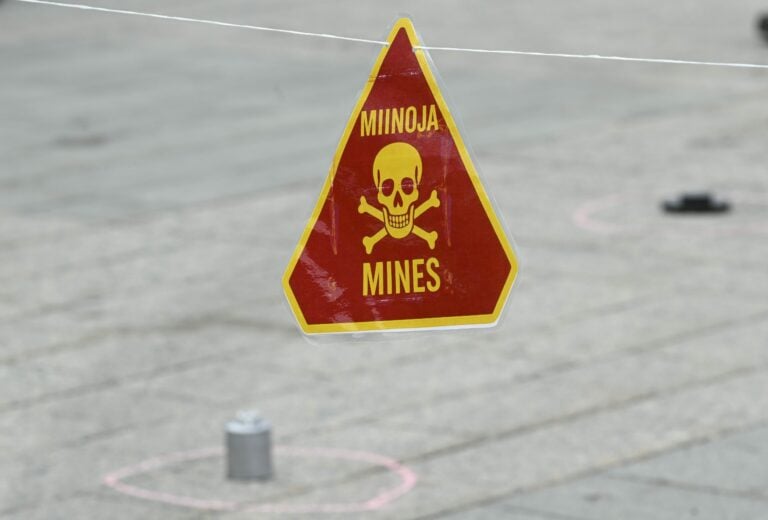 Miinavaara-mielenilmaus