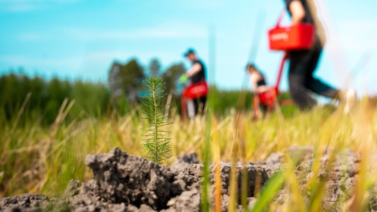 7036d30f-827c-4f41-aa8f-5cd7c0c602e7