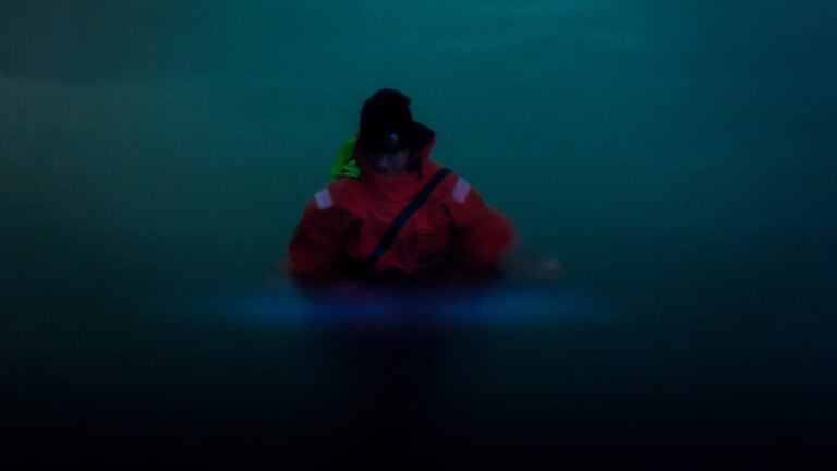 c4436fc6-06ae-4201-a356-8efc7d21c591