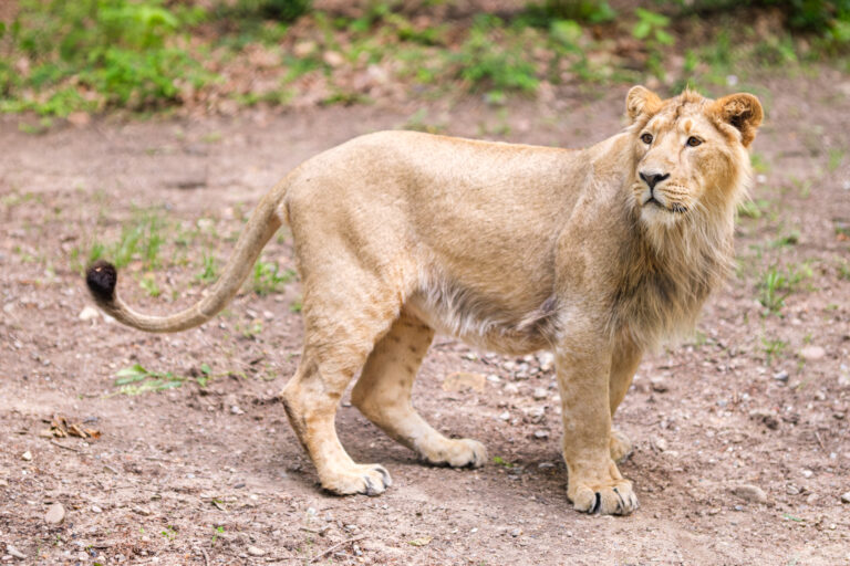 0340947c-9e34-435f-bc7e-f085fc933d30