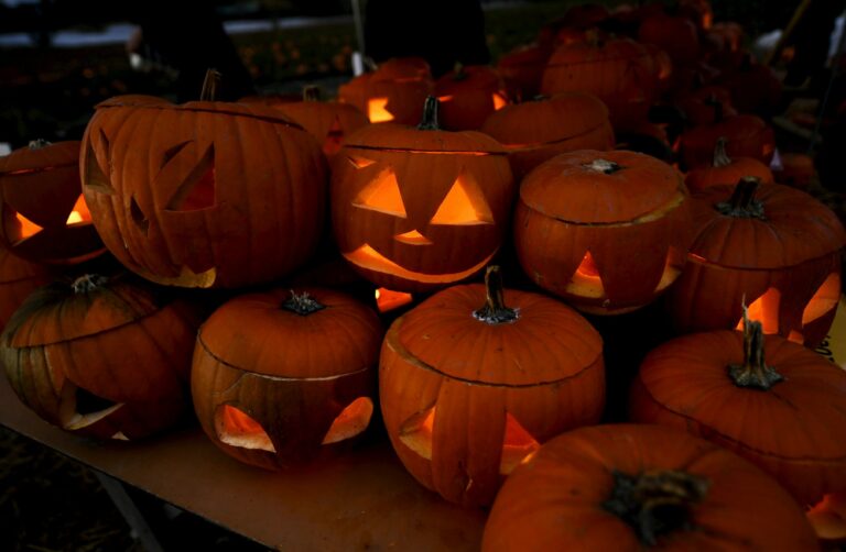 Rannikon puutarhan kurpitsatapahtuma