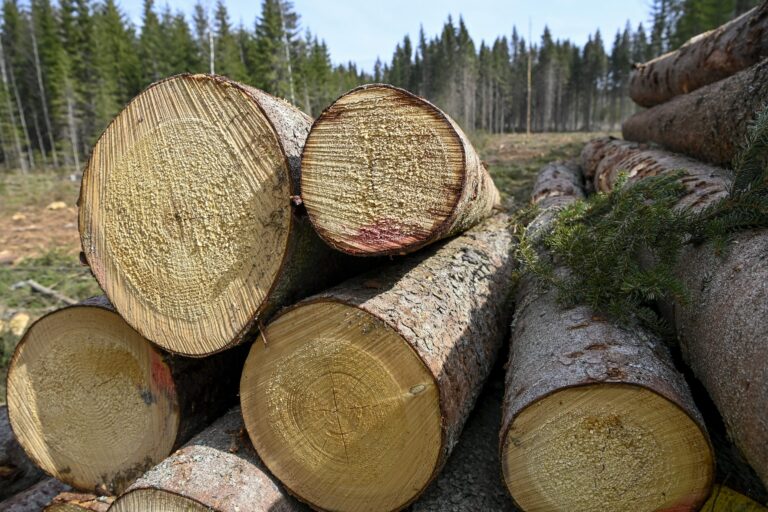 Harvennushakkuutyömaa Janakkalassa