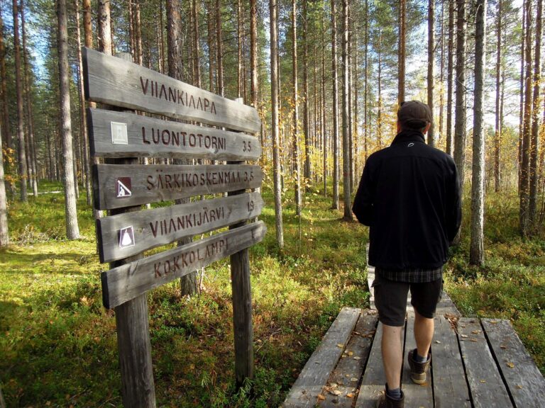 Viiankiaavan soidensuojelualue