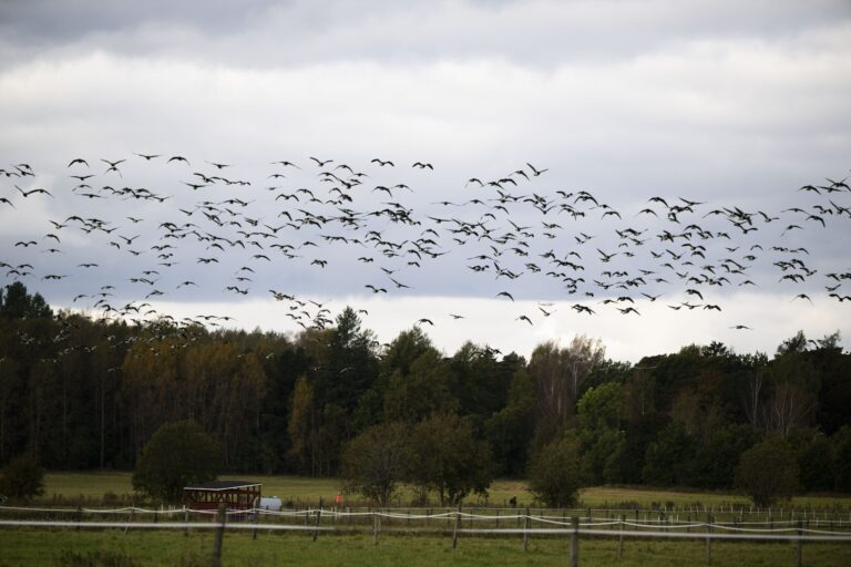 Syyskuun lopun sää