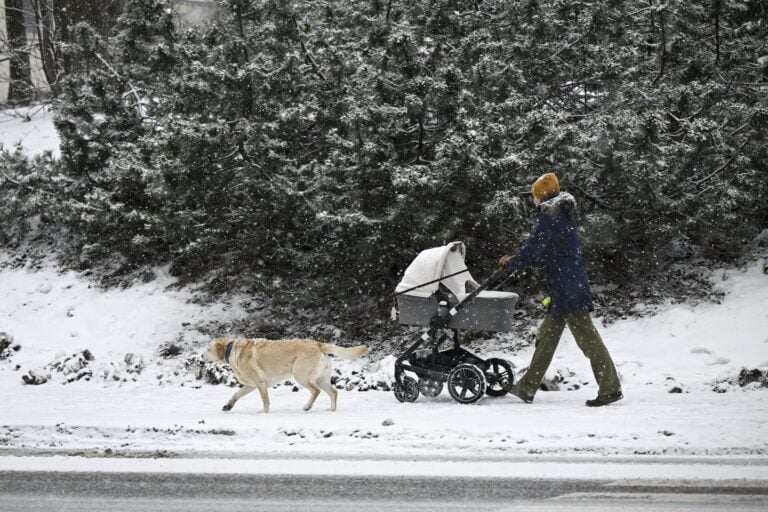 Talvipäivänseisaus