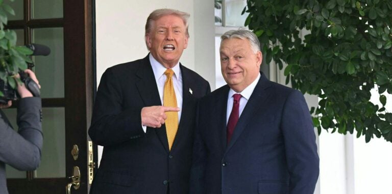 Hungarian PM Orban meets US president Trump