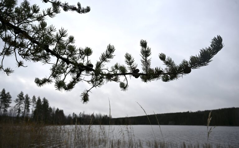 Joko sää alkavalla viikolla viilentyy kohti talvisempia lukemia?