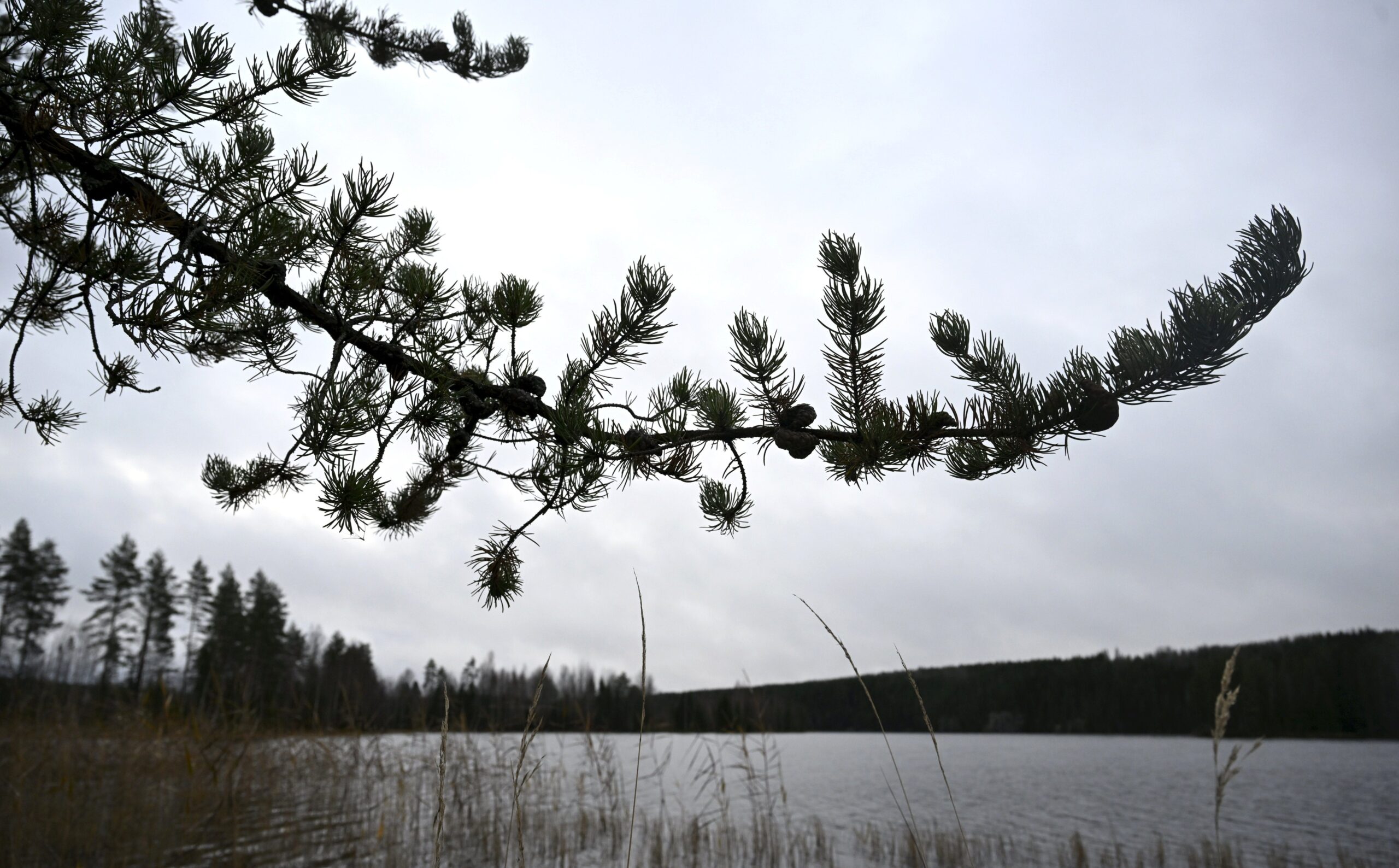 Talvi tulossa lähiviikkoina