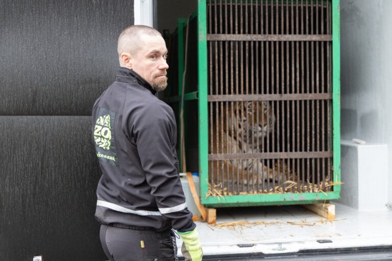 Photo: Annika Sorjonen (2025)Korkeasaari ZooHelsinki, Finland