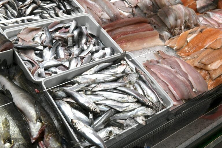 S-ryhmän mediatilaisuus ruokatrendeistä