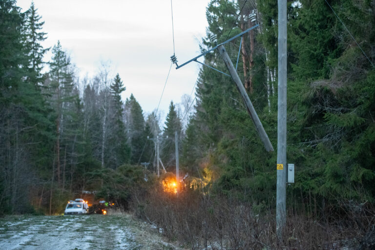 Hannes-myrskyn tuhoja