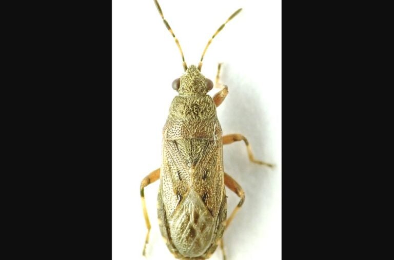 Näyttökuva 2025-12-04 125111