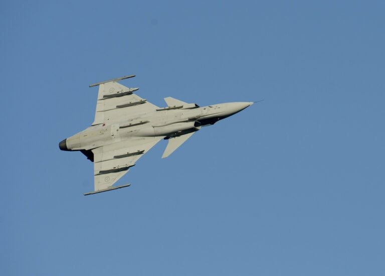 Kaivopuiston lentonäytös 2017