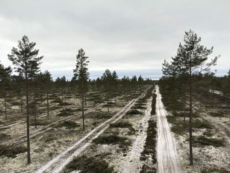 Suur hakkuut Hangon Santalassa