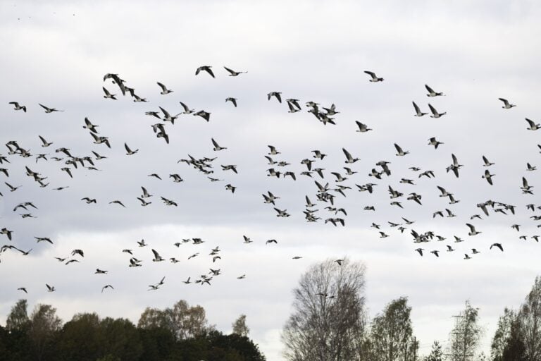 Syyskuun lopun sää