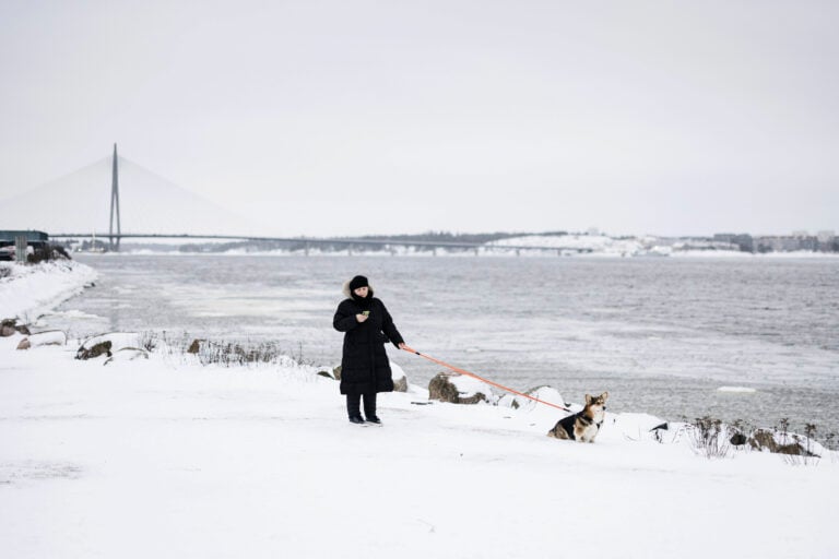 Pakkaset hellittämässä