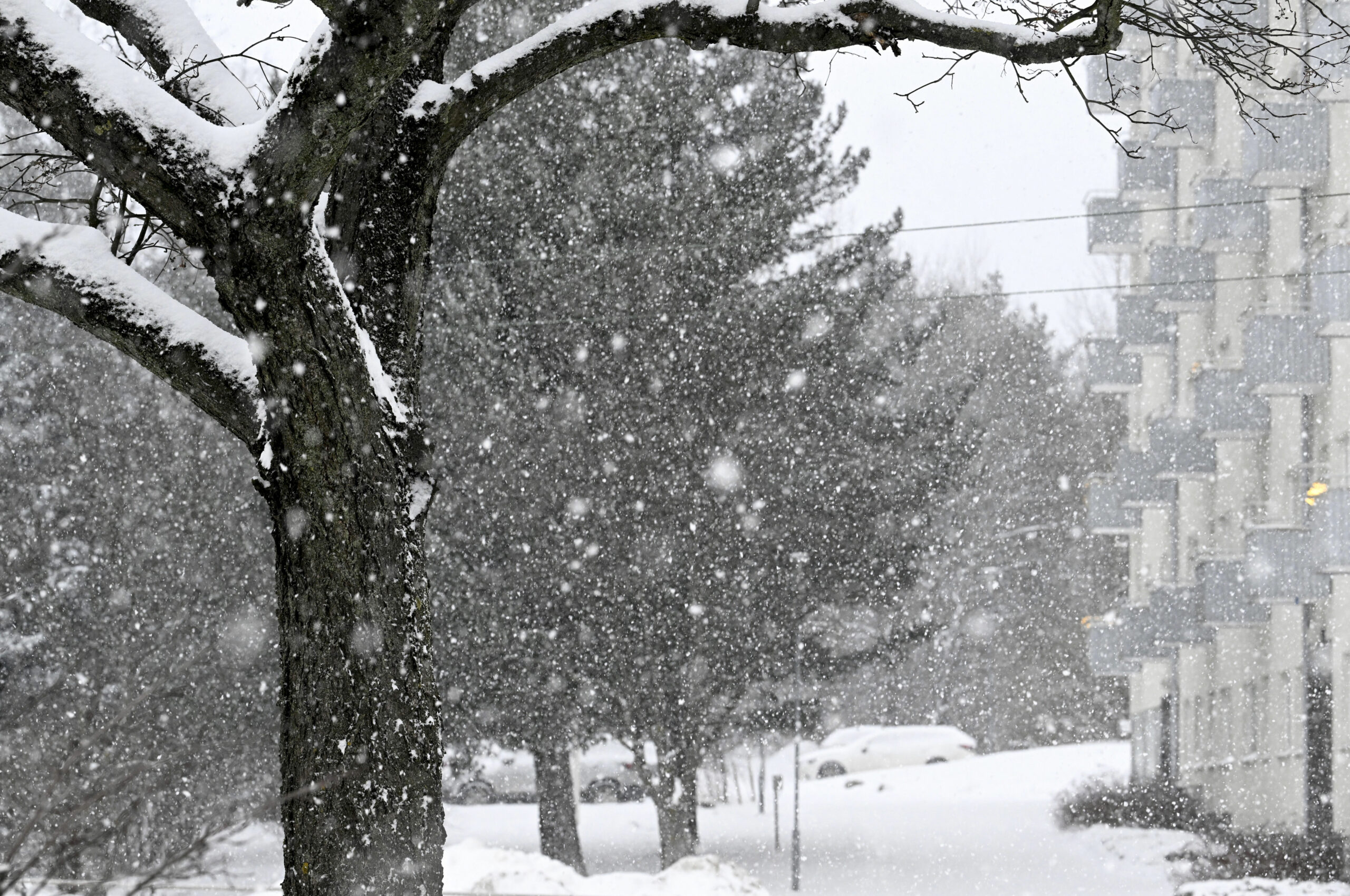Voimakas lumimyräkkä iskee pian – lunta yli 30 senttiä