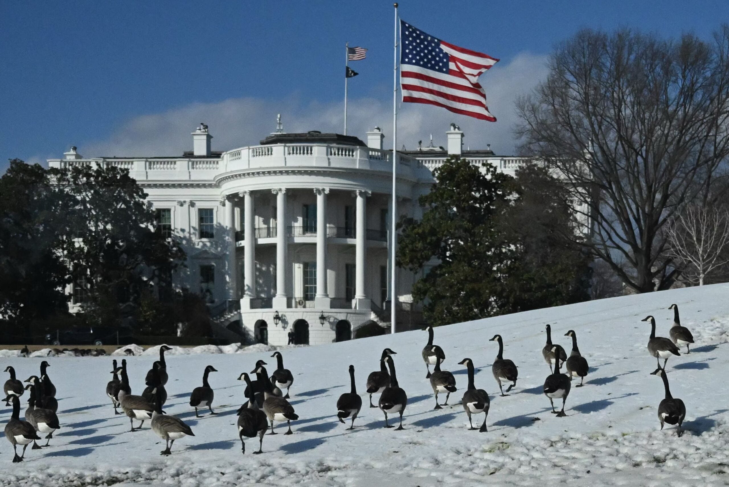 Karu arvio: Amerikkalainen kotitalous maksaa tulleista noin 1100 euroa